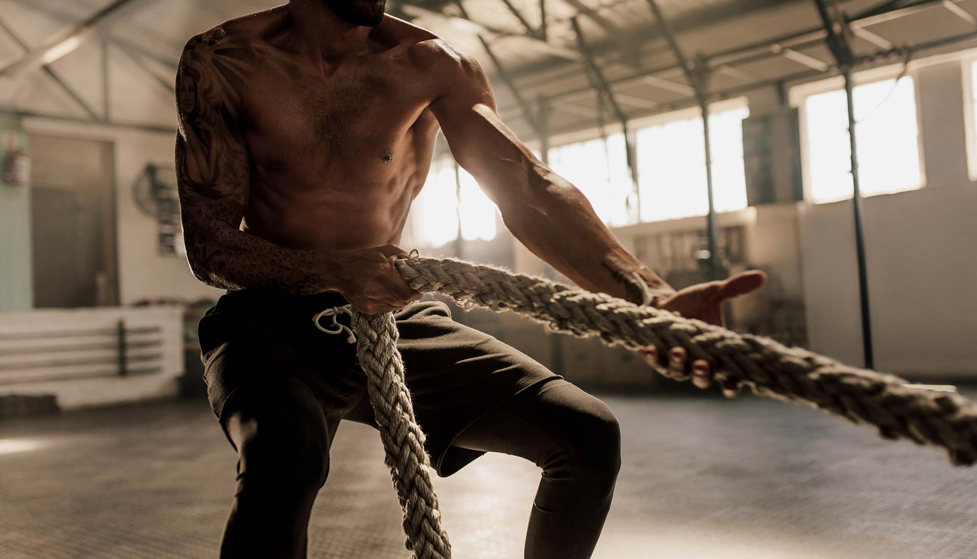 TheFitHab Gym Workout Atmosphere